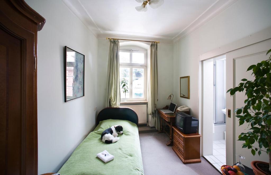 Hotel Goldener Hecht Heidelberg Chambre photo