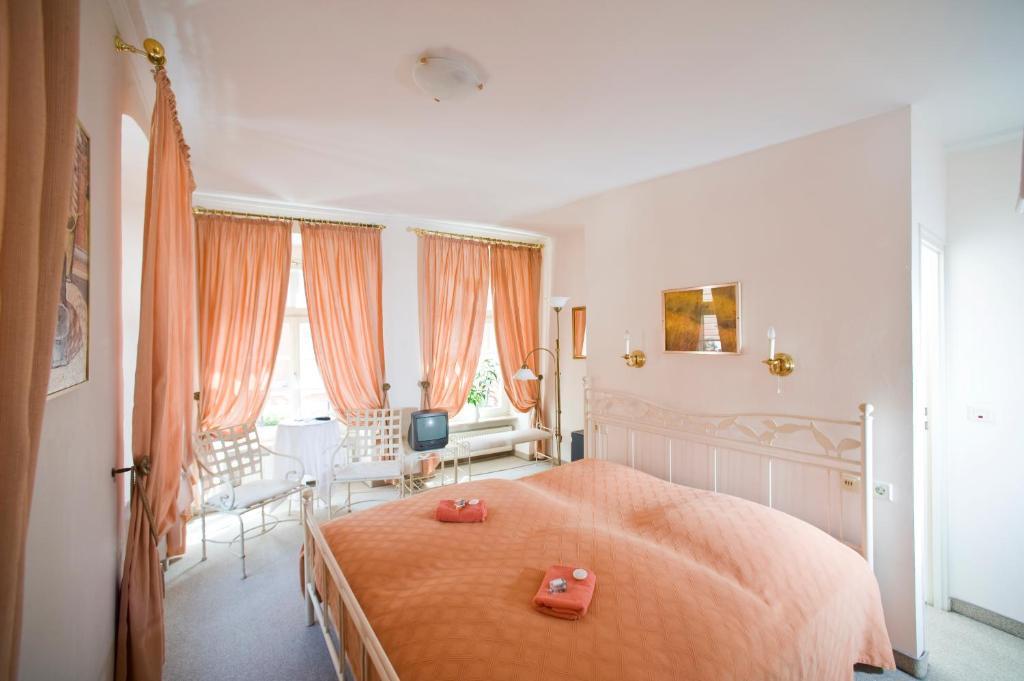 Hotel Goldener Hecht Heidelberg Chambre photo